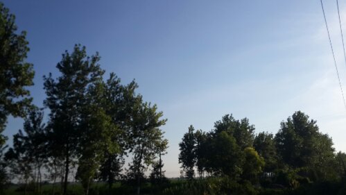 wp-1374919836858.jpg image