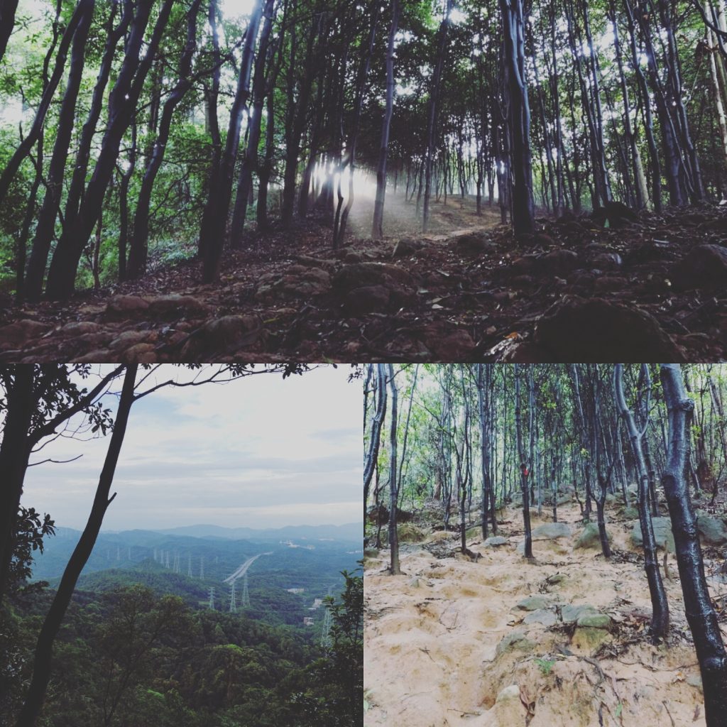 山与风光